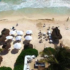 https://zulum-beach-club-and-cabanas.quintano-roohotels.com