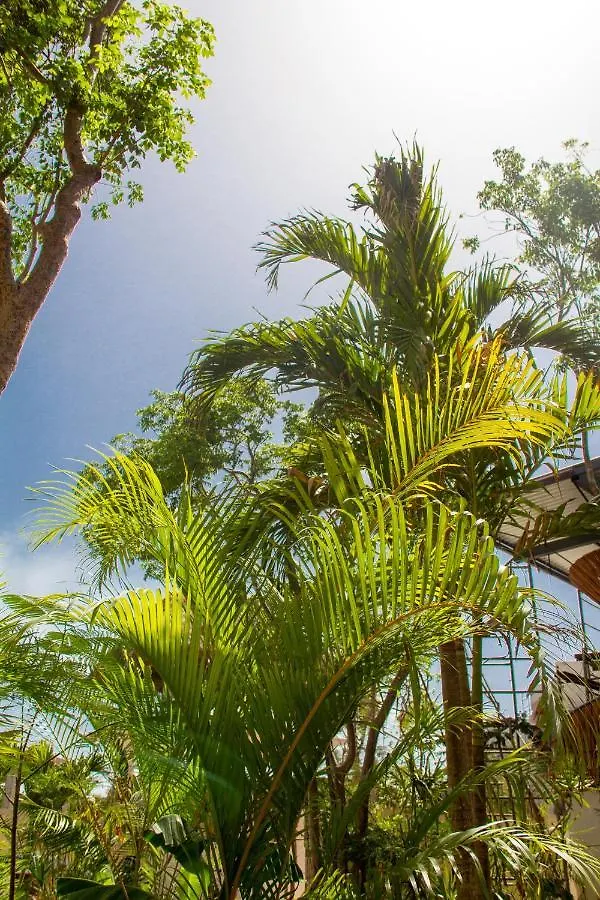 Hotel apartamentowy Adora Tulum Distinctive Residences